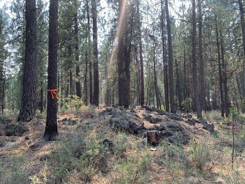 16917 Jacinto Rd, Bend, OR 97707 photo 35