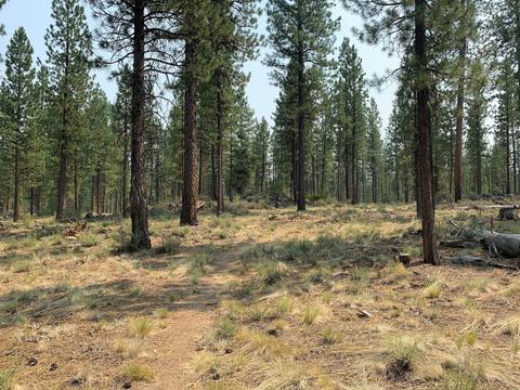 16917 Jacinto Rd, Bend, OR 97707 photo 7