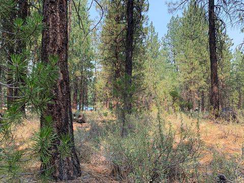 16917 Jacinto Rd, Bend, OR 97707 photo 32