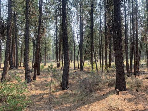 16917 Jacinto Rd, Bend, OR 97707 photo 8
