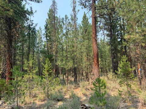 16917 Jacinto Rd, Bend, OR 97707 photo 20