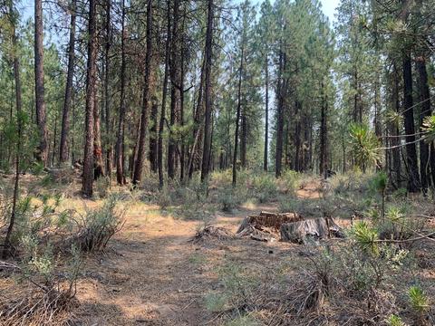 16917 Jacinto Rd, Bend, OR 97707 photo 30