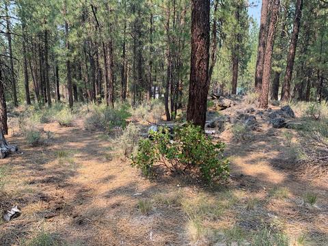16917 Jacinto Rd, Bend, OR 97707 photo 23