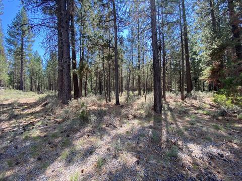 16917 Jacinto Rd, Bend, OR 97707 photo 4