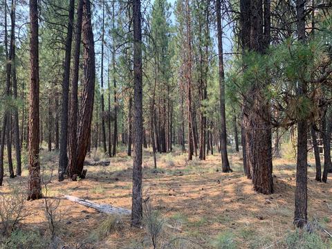 16917 Jacinto Rd, Bend, OR 97707 photo 12