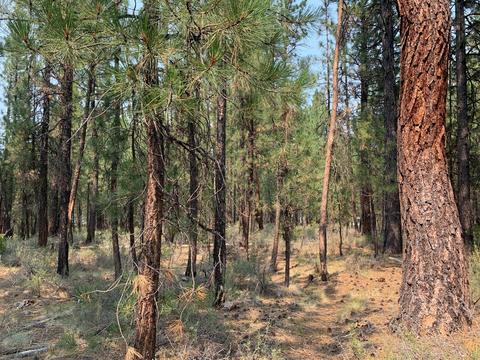 16917 Jacinto Rd, Bend, OR 97707 photo 19