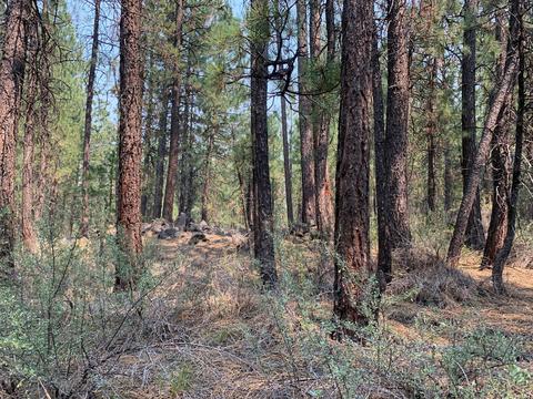 16917 Jacinto Rd, Bend, OR 97707 photo 26
