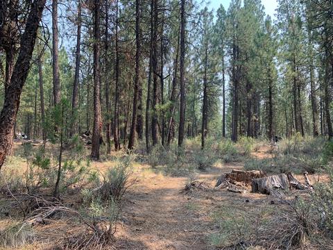 16917 Jacinto Rd, Bend, OR 97707 photo 29