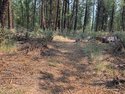 16917 Jacinto Rd, Bend, OR 97707 photo 27