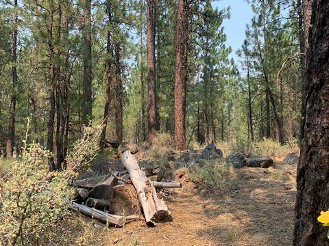 16917 Jacinto Rd, Bend, OR 97707 photo 25