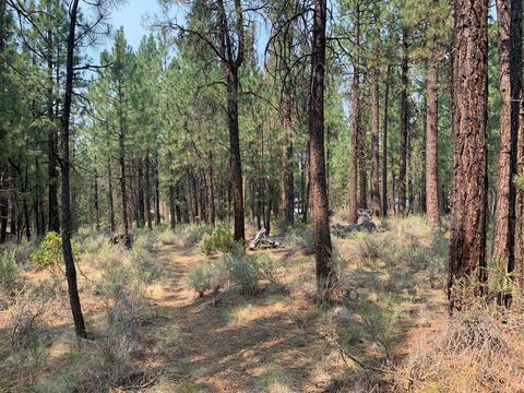 16917 Jacinto Rd, Bend, OR 97707 photo 22