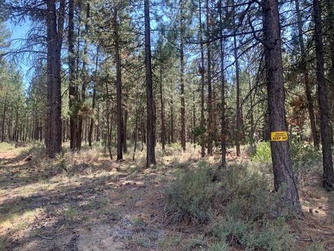 16917 Jacinto Rd, Bend, OR 97707 photo 3