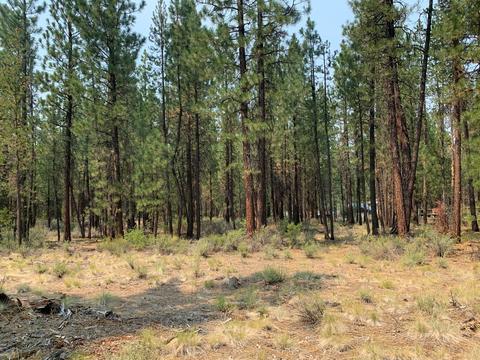 16917 Jacinto Rd, Bend, OR 97707 photo 13