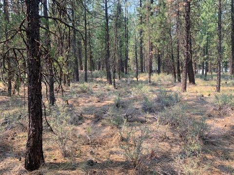 16917 Jacinto Rd, Bend, OR 97707 photo 10