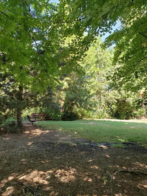 104 E Rapp Rd, Talent, OR 97540 photo 41