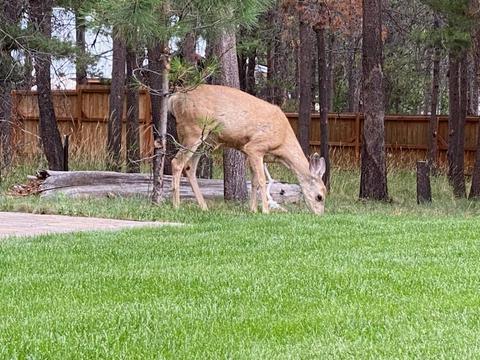 55514 Circle St, Bend, OR 97707 photo 44