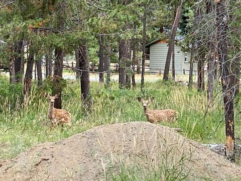 55514 Circle St, Bend, OR 97707 photo 45