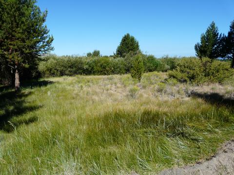52915 Riverview Dr, La Pine, OR 97739 photo 14