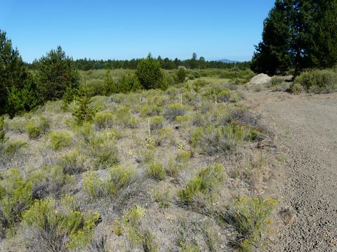 52915 Riverview Dr, La Pine, OR 97739 photo 13
