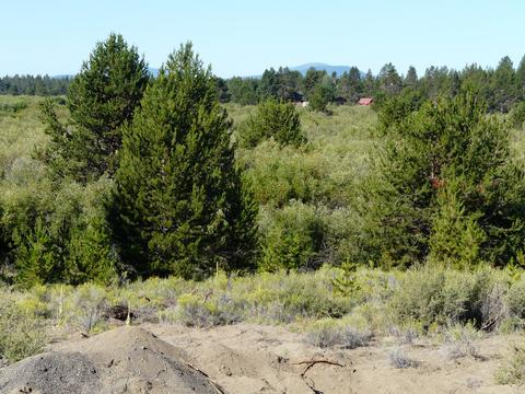 52915 Riverview Dr, La Pine, OR 97739 photo 6