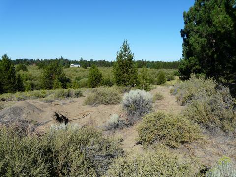 52915 Riverview Dr, La Pine, OR 97739 photo 11