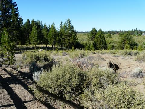 52915 Riverview Dr, La Pine, OR 97739 photo 5