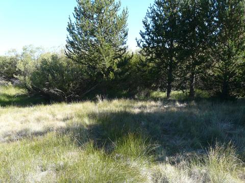52915 Riverview Dr, La Pine, OR 97739 photo 7