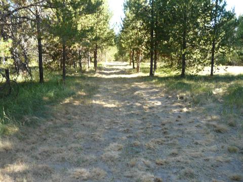52915 Riverview Dr, La Pine, OR 97739 photo 9
