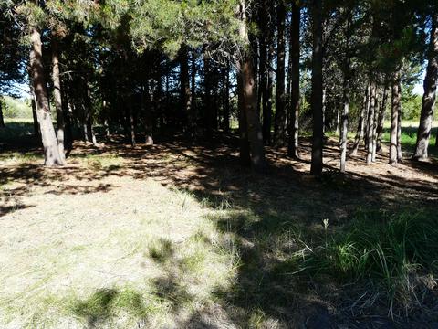 52915 Riverview Dr, La Pine, OR 97739 photo 8