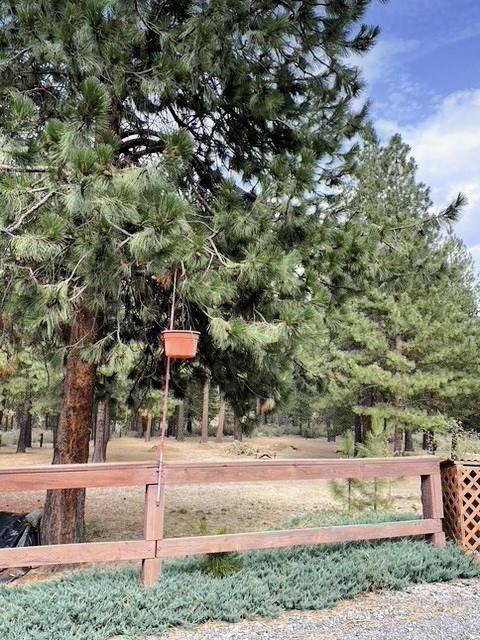 905 Pine Needle Dr, Chiloquin, OR 97624 photo 22