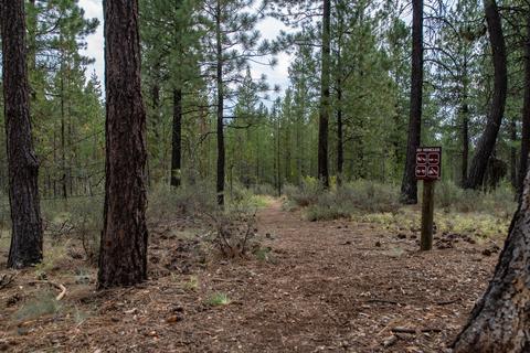 17061 Cooper Dr, Bend, OR 97707 photo 46
