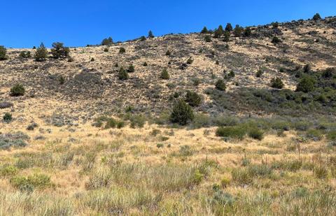 lot82 Peregrine Hts, Klamath Falls, OR 97601