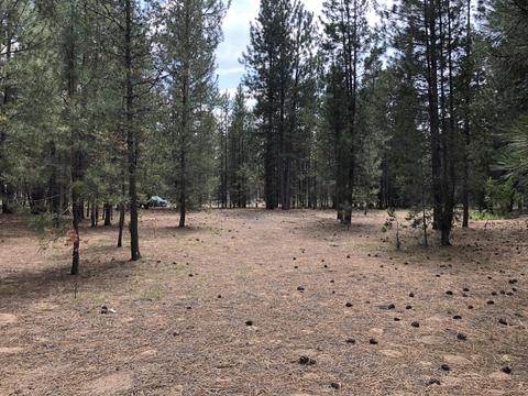 15864 Twin Dr, La Pine, OR 97739 photo 5