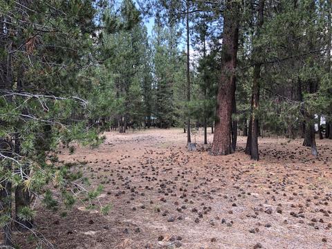 15864 Twin Dr, La Pine, OR 97739 photo 4