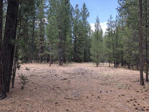15864 Twin Dr, La Pine, OR 97739 photo 3