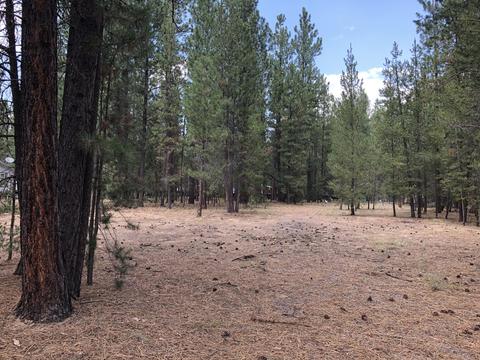 15864 Twin Dr, La Pine, OR 97739 photo 2