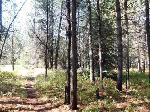 16952 Glendale Rd, Bend, OR 97707 photo 12