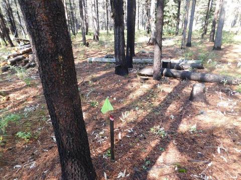 16952 Glendale Rd, Bend, OR 97707 photo 9