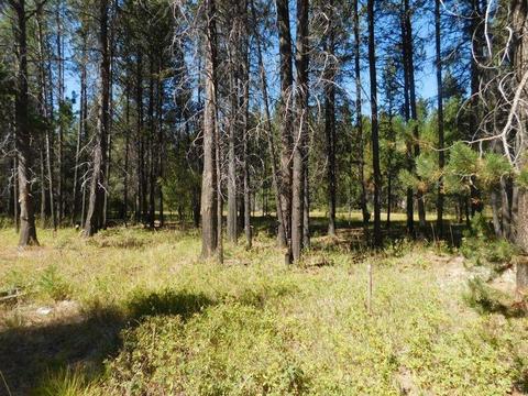 16952 Glendale Rd, Bend, OR 97707 photo 6