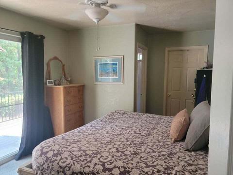 265 Shadowbrook Dr, Cave Junction, OR 97523 photo 9