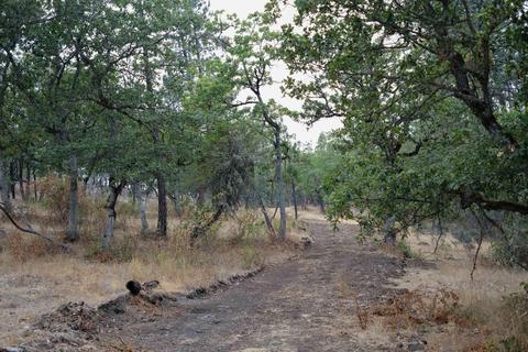 6096 Lost Creek Rd, Eagle Point, OR 97524 photo 51