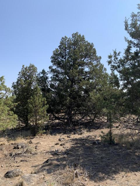 65534 76th St, Bend, OR 97703 photo 6
