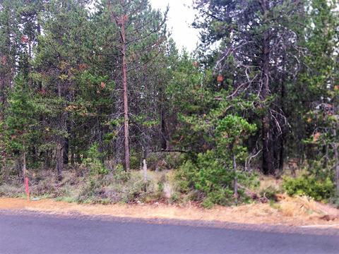 56279 Bufflehead Rd, Bend, OR 97707 photo 4