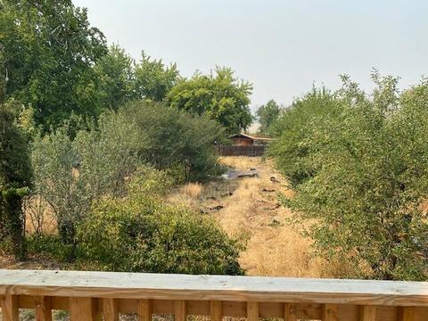 4915 Cabbage Ln, Phoenix, OR 97535 photo 10