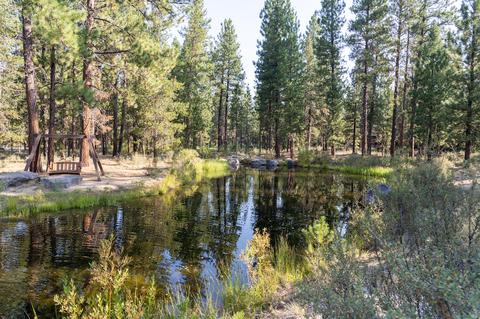 56196 Sable Rock Loop, Bend, OR 97707 photo 10