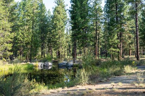 56196 Sable Rock Loop, Bend, OR 97707 photo 2