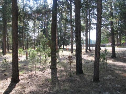 16160 West Dr, La Pine, OR 97739 photo 2