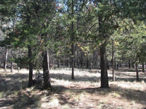 16160 West Dr, La Pine, OR 97739 photo 5