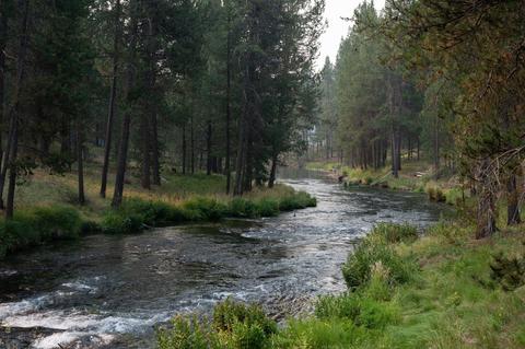 15003 E River Loop Dr, Bend, OR 97707 photo 49
