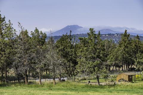 21772 Repine Dr, Bend, OR 97701 photo 35